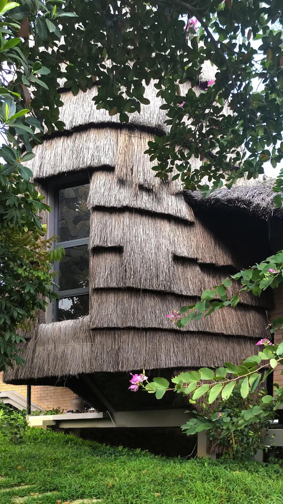 Tomodachi Retreat - Lang Mit Son Tay Zewnętrze zdjęcie
